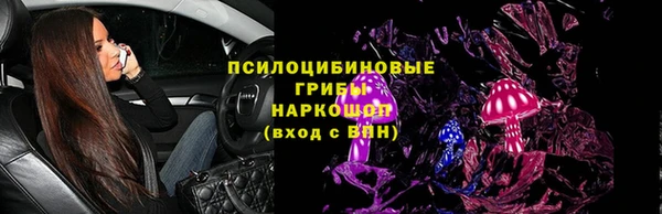 мдпв Армянск